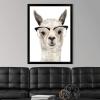 imageThe Novogratz Calculating Llama III White Framed Art Print 15quotx19quotx1quotBlack Frame