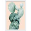 imageThe Novogratz Desert Prickles I White Framed Art Print 15quotx21quotx1quotWhite Frame