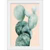 imageThe Novogratz Desert Prickles I White Framed Art Print 15quotx21quotx1quotWhite Frame