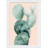 imageThe Novogratz Desert Prickles I White Framed Art Print 15quotx21quotx1quotWhite Frame