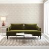 imageTempaper x Novogratz Waverly White Feather Palm Removable Peel and Stick Wallpaper 205 in X 165 ft Made in The USAWaverly White