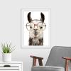 imageThe Novogratz Calculating Llama II White Framed Art Print 15quotx19quotx1quotWhite Frame
