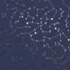 imageNovogratz x Tempaper Navy Constellations Removable Peel and Stick Wallpaper 205 in X 165 ft Made in the USANavy