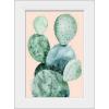 imageThe Novogratz Desert Prickles II White Framed Art Print 15quotx21quotx1quotWhite Frame