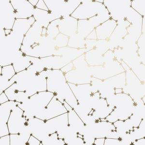 imageNovogratz x Tempaper Navy Constellations Removable Peel and Stick Wallpaper 205 in X 165 ft Made in the USAFrost