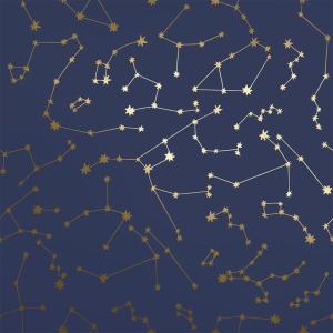 imageNovogratz x Tempaper Navy Constellations Removable Peel and Stick Wallpaper 205 in X 165 ft Made in the USANavy