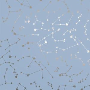 imageNovogratz x Tempaper Navy Constellations Removable Peel and Stick Wallpaper 205 in X 165 ft Made in the USAPowder