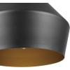 imageGLOBE 65841 Amara 1Light Pendant Lighting Matte Black Gold Interior Bulb Not Included