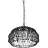imageGLOBE Electric 44761 1Light Outdoor Plugin Pendant Light Plastic Rattan Shade Frosted Inner Shade Bronze Hanging Cord and Chain Kitchen Island Cafe Ceiling Hanging Light Bulb Not IncludedDiego Black