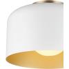 imageGLOBE Novogratz x Electric 66000085 Novogratz x 2Light Matte Brass Flush Mount Ceiling Light with OffWhite Pleated Fabric ShadeMatte White  Amy