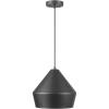 imageGLOBE 65841 Amara 1Light Pendant Lighting Matte Black Gold Interior Bulb Not Included