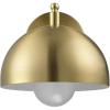 Brushed Brass  Holly