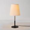 imageGlobe Electric 52999 Derek 18quot 2Light Desk Lamp Matte Black OnOff Rotary Switch on Each ShadeMatte Black  Brass Accents