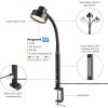 imageGlobe Electric 52999 Derek 18quot 2Light Desk Lamp Matte Black OnOff Rotary Switch on Each ShadeMatte Black  Isaac