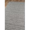imageNovogratz by Momeni Rugs Villa Collection Emilia IndoorOutdoor Area Rug 53quot x 76quot GreyGrey