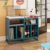 imageNovogratz Regal Double Wide Record StationAccent Cabinet Blue