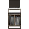 imageNovogratz Regal Turntable StandEnd Table Walnut