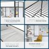 imageNovogratz Axel Metal Loft Bed with Desk and Shelves Full Black and Off WhiteTwin