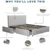 imageNovogratz Brittany Upholstered Bed Daybed Twin GrayLight Gray