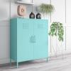 imageNovogratz Cache 2 Door Metal Locker Storage Mint Cabinet