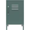 imageNovogratz Cache Metal Locker Style Living Room End Table Hunter Green