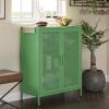 imageNovogratz Channing 2 Door Accent CabinetMesh Metal Locker Kelly GreenKelly Green