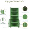 imageNovogratz Channing Corner Storage Cabinet with 2 Doors Navy BlueKelly Green