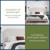 imageNovogratz Eloise Upholstered Platform Bed Frame with Tall 56quot Button Tufted Headboard Queen Navy Blue ChenilleIvory