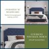 imageNovogratz Eloise Upholstered Platform Bed Frame with Tall 56quot Button Tufted Headboard Queen Navy Blue ChenilleNavy