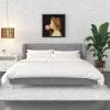 imageNovogratz Holly Upholstered Wingback Bed Frame King Ivory VelvetLight Gray