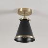 imageGLOBE 65789 Mia 1Light SemiFlush Mount Ceiling Light Matte Black Shade Matte Brass Accent Bulb Not Included