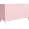 imageNovogratz Cache 2 Door Metal Locker Accent Cabinet Bashful Pink
