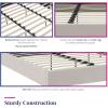 imageNovogratz Her Majesty Tufted Upholstered Bed Frame Full Pink LinenIvory