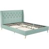 imageNovogratz Her Majesty Tufted Upholstered Bed Frame Full Pink LinenLight Green