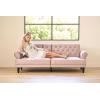 image:imageNovogratz Cassidy Upholstered Futon Blush Velvet
