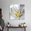 image:imageThe Novogratz The Novogratz Lily Hadi Sattari Canvas Wall Art Print 12x12x12530L x 30W