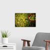 image:imageThe Novogratz The Novogratz Limes Hadi Sattari Canvas Wall Art Print 18x12x12518L x 12W