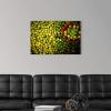 image:imageThe Novogratz The Novogratz Limes Hadi Sattari Canvas Wall Art Print 18x12x12530L x 20W