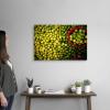 image:imageThe Novogratz The Novogratz Limes Hadi Sattari Canvas Wall Art Print 18x12x12530L x 20W