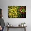 image:imageThe Novogratz The Novogratz Limes Hadi Sattari Canvas Wall Art Print 18x12x12536L x 24W