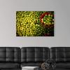 image:imageThe Novogratz The Novogratz Limes Hadi Sattari Canvas Wall Art Print 18x12x12536L x 24W
