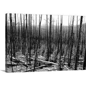 image:imageThe Novogratz The Novogratz Regrowth Hadi Sattari Canvas Wall Art Print 18x12x12530L x 20W